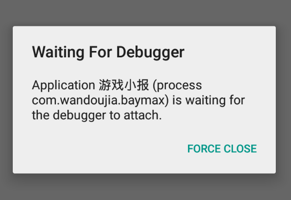 wait for debugger